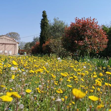 Maison de vacances L'Hôte Champêtre campagne arlésienne Esterno foto